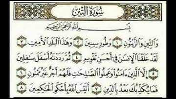 سورة التين للقارئ الشيخ عبدالرحمن السديس.