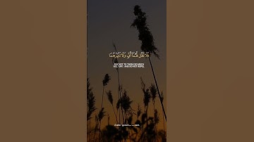 آيات عن الوالدين/سورة الأسراء/ تلاوة خاشعة راحة لقلبك ثواني مع القرآن #القرآن_الكريم