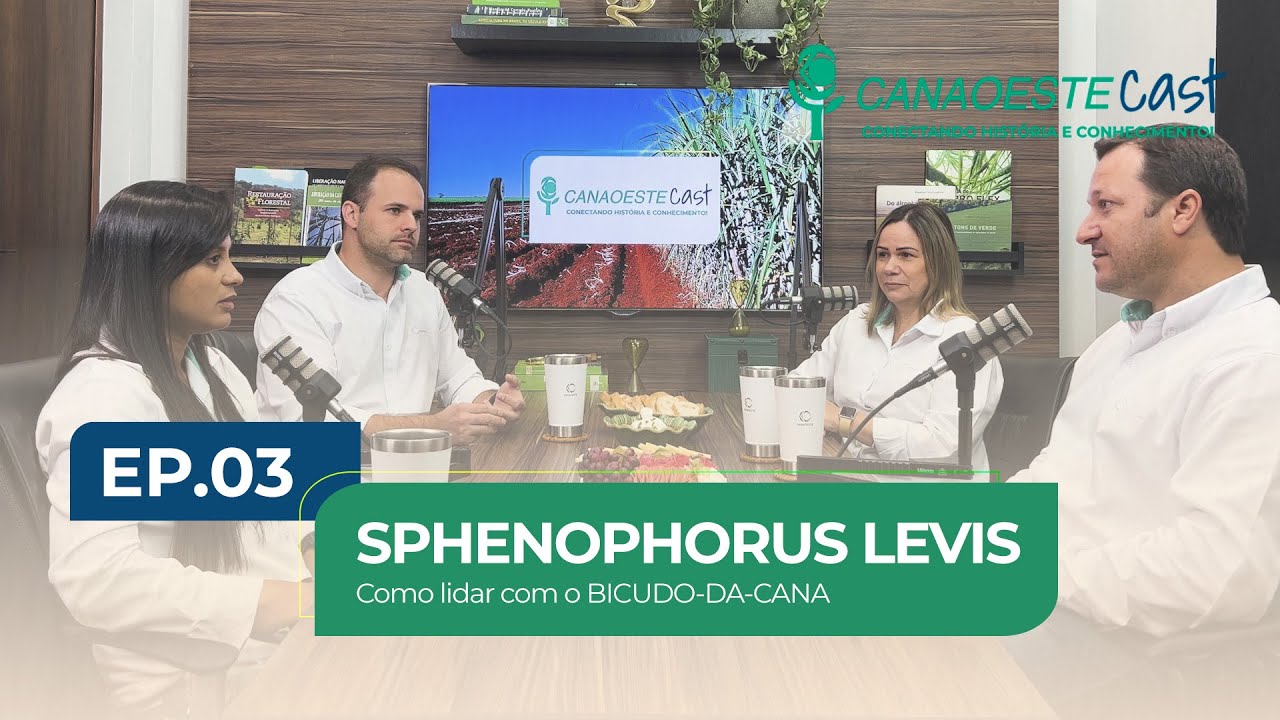 Sphenophorus levis (Bicudo-da-cana): Desafios e Soluções na Produção de Cana - CanaoesteCast #03