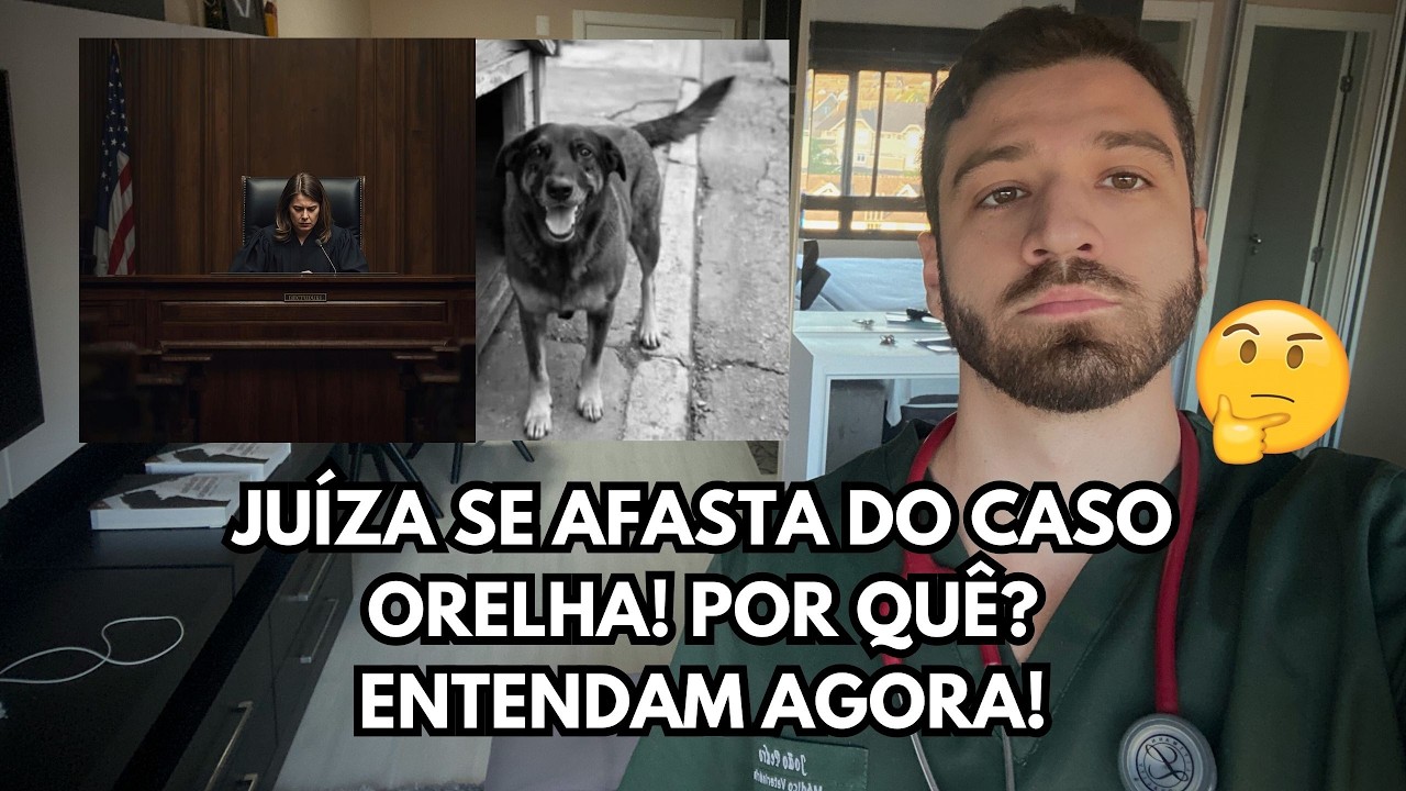 Reviravolta no Caso Orelha: juíza se declara suspeita em SC