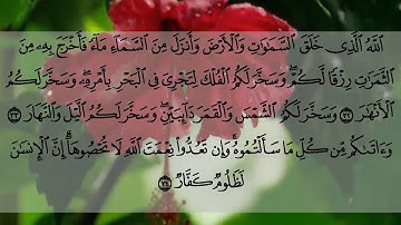 صلاة التهجد ليلة 27 رمضان 1440 ما تيسر من سورة إبراهيم بصوت الأخ عبد الإله حيمر