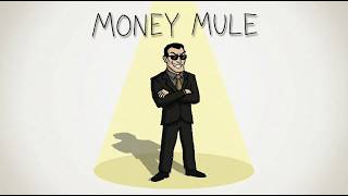 What Money Mules Actually Get Paid