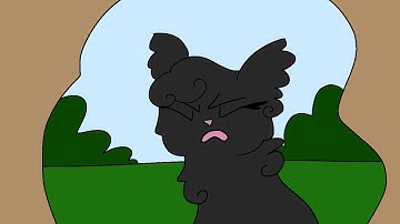 Hollyleaf Confronts Leafpool