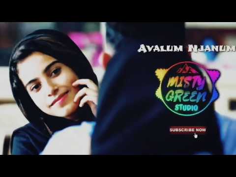 Agale Avalum Njanum   Ringtone  Malayalam Album Song  MISTYGREENSTUDIO