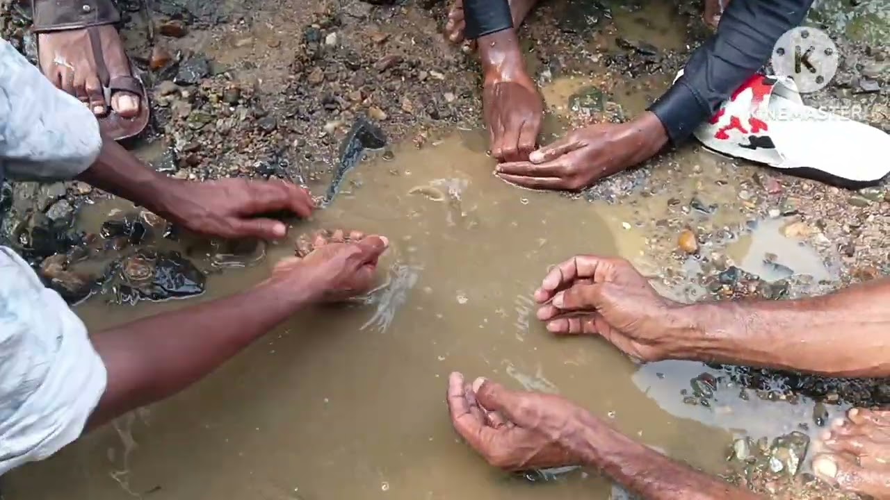 Small fish very cute🐟🐟🐟