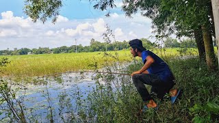 New Fishing Video Village Boy Catching Fish With Hook From Bill In Flood Water Best Village Fishing