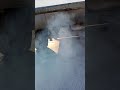 Ford transit cold start