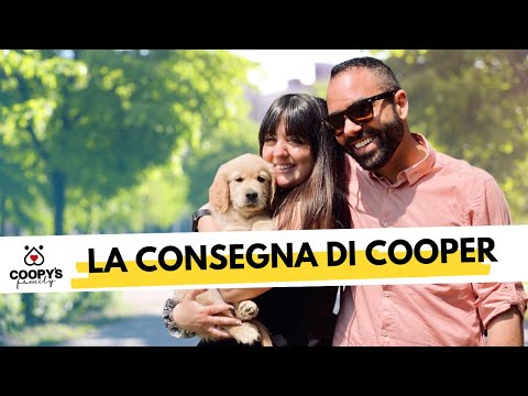 PRIMO GIORNO CON IL NOSTRO CUCCIOLO DI GOLDEN RETRIEVER | PARTE 1 | CONSEGNA DEL CUCCIOLO #VLOG