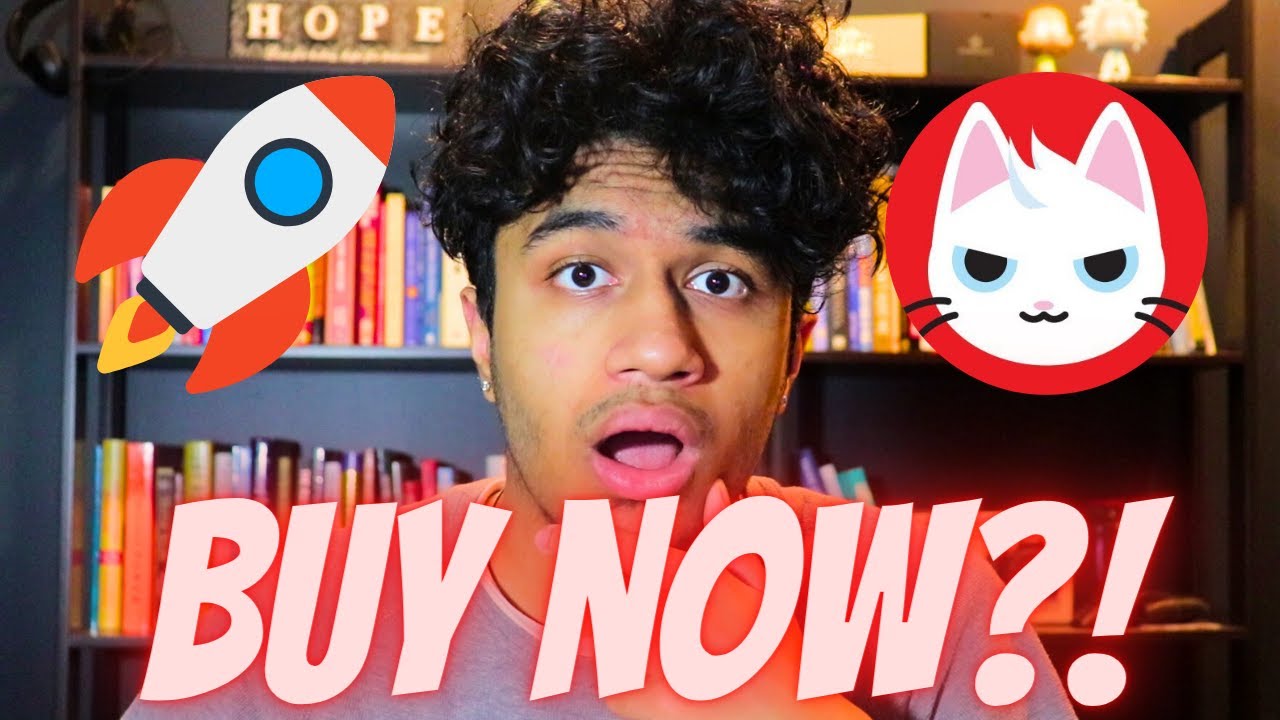 $MEW TO $5? CAT IN A DOGS WORLD IS PUMPING!! BUY NOW?! CAT IN A DOGS WORLD PRICE PREDICTION