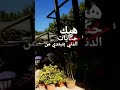 نانسي عجرم هيك حكايات الدني 