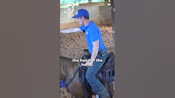 Build Confidence In Your Canter! Part 13! | The Horse Guru-Michael Gascon
