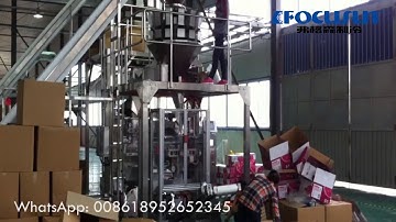 Focusun fully-automatic ice packaging machine---vacuumized type