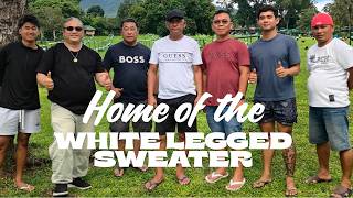 EP715: home of the White Legged Sweater NJ Biason GF