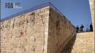 Video: Tour of Gate Of Mercy, Muhammad's companions grave site, Jerusalem - LoveAqsa