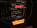 Glucose Metabolism 🤔 How Glucose Give Us Energy #biology #shortvideo #shortsfeed #cellbiology #short