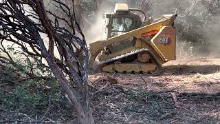 Mulching Heavy Manzanita Brush with a CAT 299D3 XE with an HM418 Mulching Head. by 9Eleven 510 views 1 year ago 45 seconds