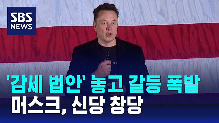 '감세 법안' 놓고 갈등 폭발…머스크, 신당 창당 / SBS