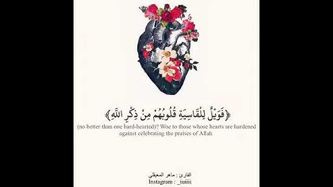 سورة الزمر الأيه ٢٢ قراءة الشيخ ماهر المعيقلي 🌹