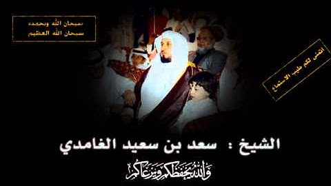 سورة النجم - سعد الغامدي