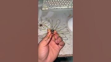 lưỡi câu cá biển ( siêu phẩm lục 10 lưỡi chuyên cá dìa cá nâu 169k/c)