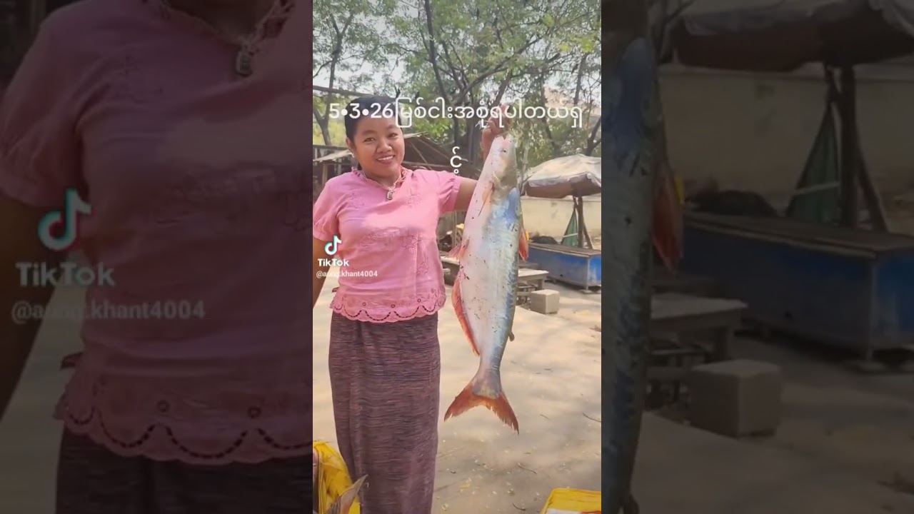 အပြုံးလှတယ် မမငါးသည် # မြစ်ငါးသည် ၊ အညာသူ အညာသားတို့ပျော်ရာ