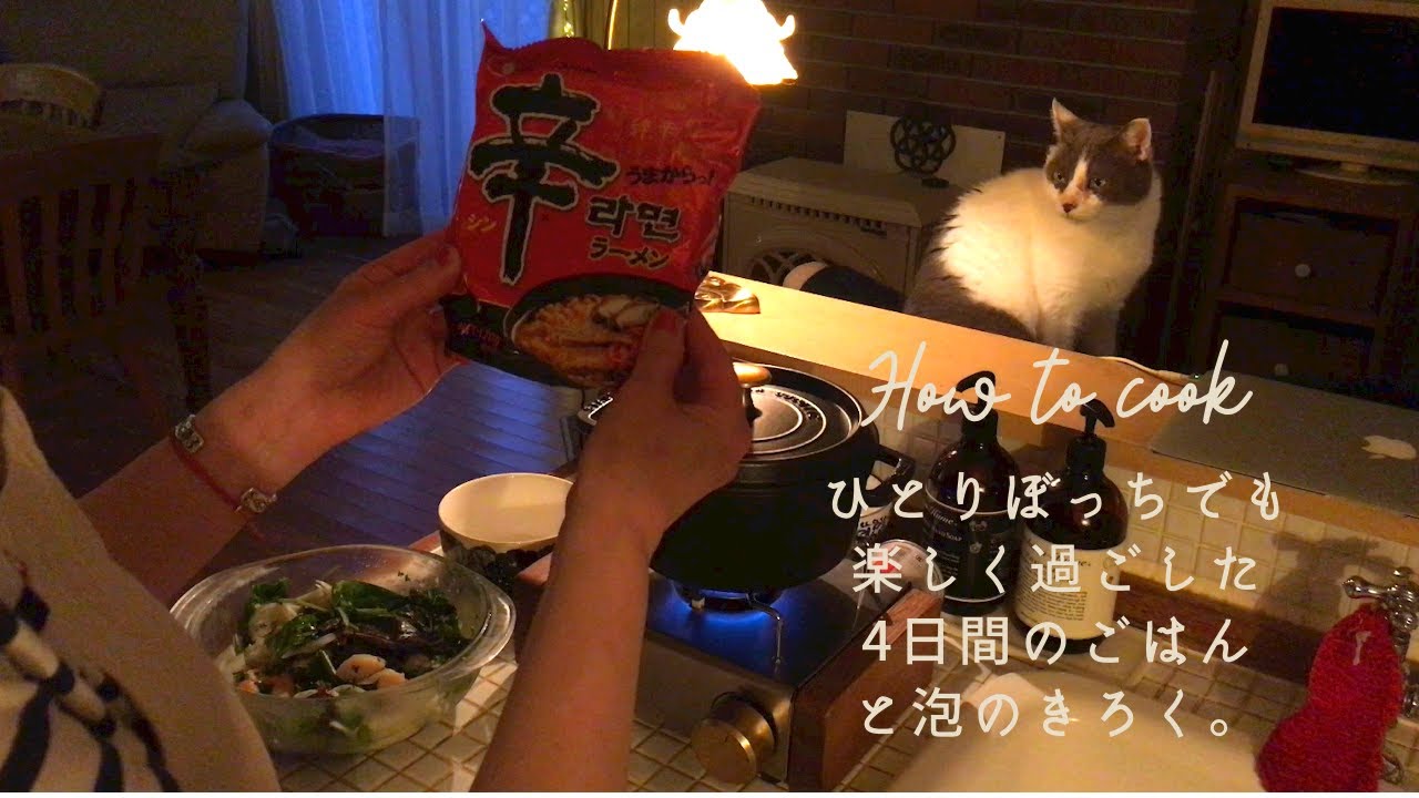 暮らしのvlog｜4日間のごはんの記録｜梅干し作り初挑戦｜手づくり刺繍ピアス