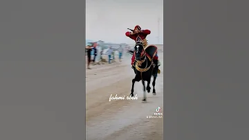 الفارسة آمنة العمري فرسان السبالة اولاد عسكر 