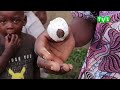 Rubavu: Batewe impungenge n’urugomo rukorwa n’abashumba baragira amatungo