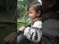 PUNCAK BOGOR DINGIN EUY!! #puncakbogor #puncakcisarua #jalanjalan #youtubeshorts #zeyndaffano #fypシ