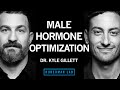 Dr kyle gillett tools for hormone optimization in males  huberman lab podcast 102