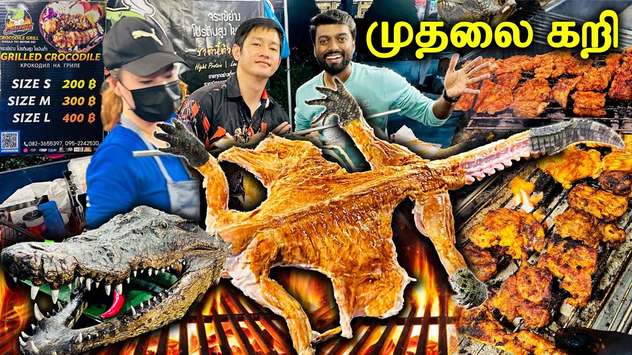 Eating Spicy & Roasted 🐊 CROCODILE MEAT for Dinner in Thailand 🇹🇭 முதலை