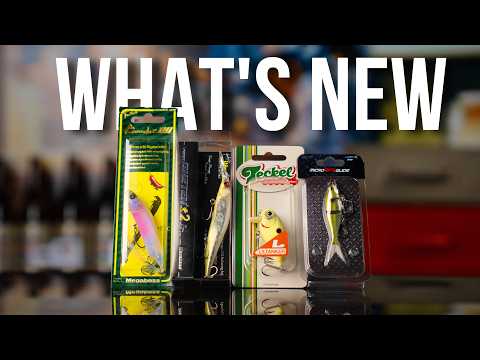 What's New This Week - Father's Day Bento, New BFS Glides, Teckel Wakebait, Karashi 80 and more!