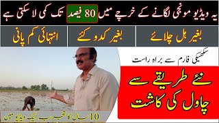Grow rice without plaughing & with less water|Regenerative Agriculture practice|Sultan Ahmad Bhatti