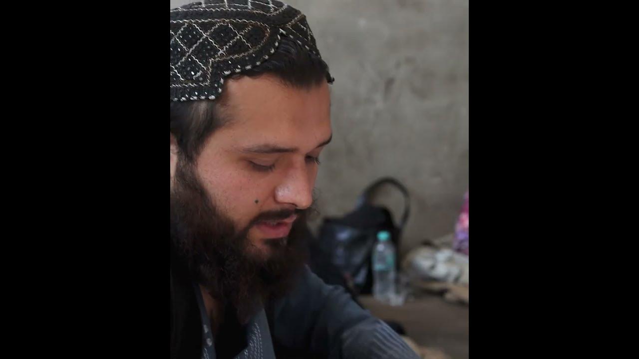 afghan-pine-nuts-most-expensive-dry-fruit-youtube