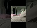 Ducks irl EPISODE 1 (short film series ) #duck #fyp