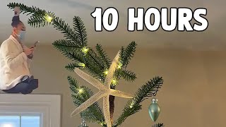 I Identify Myself as a Christmas Tree Decoration (meme) [10 HOURS]