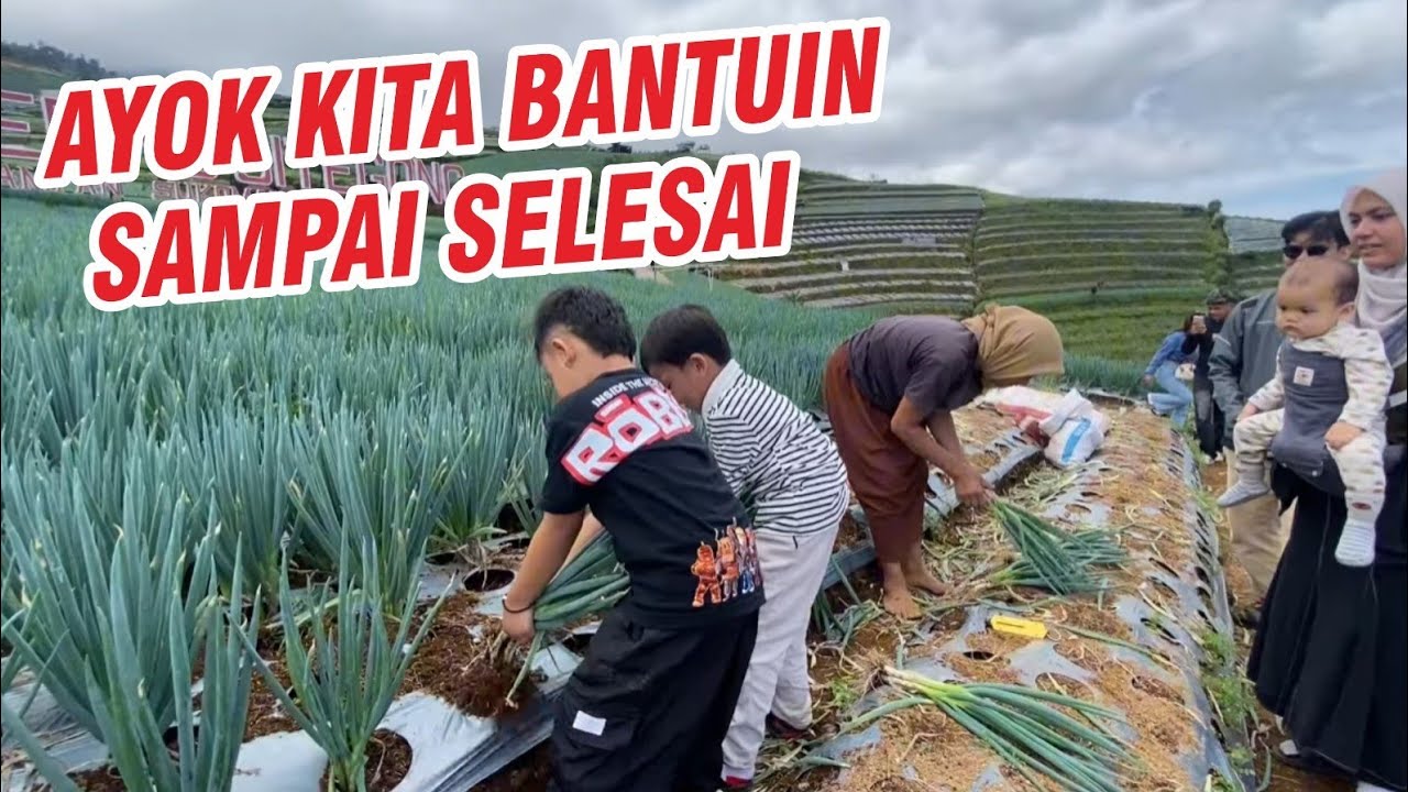 EKSTREM‼️JALUR SILANCUR NEPAL VAN JAVA SAMPAI KE NEGERI SAYUR SUKOMAKMUR‼️