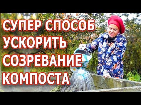 Видео: Компостни бактерии - Научете повече за това какъв тип бактерии има в компоста