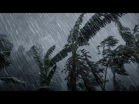 Heavy Rain & Intense Storm Sounds 🌧️ (No Ads) | Calm Your Mind & Fall Asleep Fast