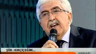 Kirçi̇çeği̇m - Ozanbayraktar