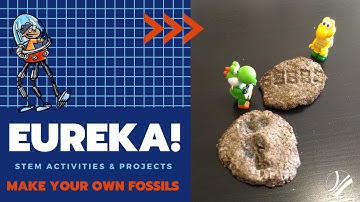 Make your own Fossils | STEM Activities for kids | Ottawa Public Library