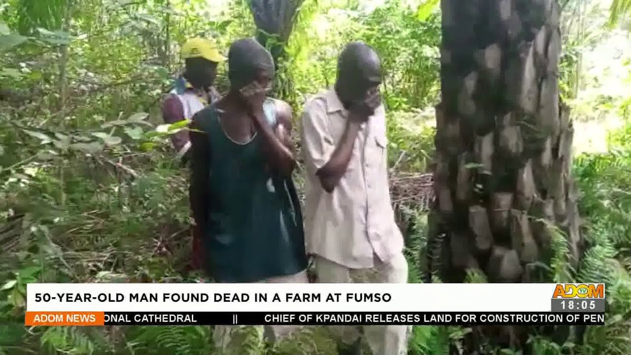 50-year-old man found dead in a farm at Fumso – Adom TV News (25-6-22 ...