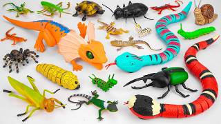 122 Mins ZURU Robo Alive Insects ASMR 🦎 Lurking Lizard, Smart Sensing Snake, Mantis, Grasshopper