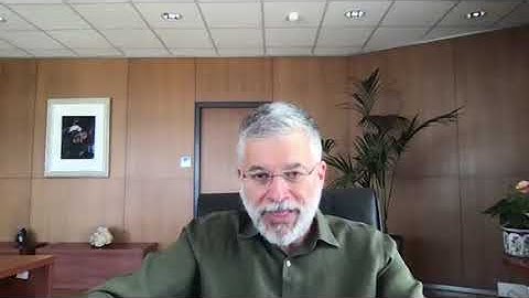 Immunoglobulins and microenvironmental triggers in CLL pathogenesis