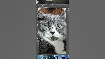 How do I master the clone stamp tool in Photoshop?