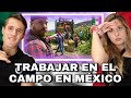 🇲🇽REACCIÓN a ALEMÁN TRABAJANDO EN EL CAMPO MEXICANO | @No Manches • Qué Rico  MUESTRA LA EXPERIENCIA