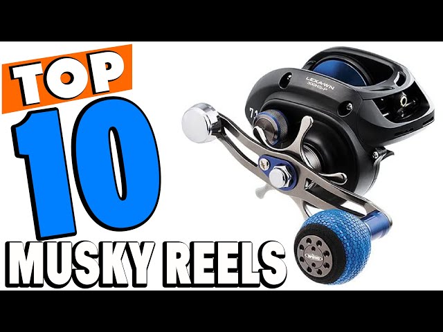 Is This The BEST Musky Reel? Alijoz 400 Review) 