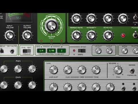 Zodiak Echo Virtual Tape Delay & Spring Reverb for iOS and Apple Silicon Macs