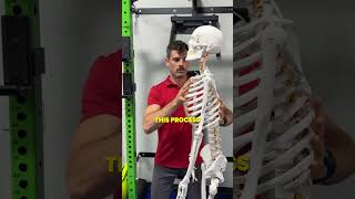 Download Lagu Dowager's Hump MP3