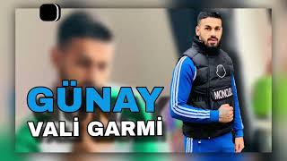 Deejay Loshia / Günay - Vali Garmi 2026